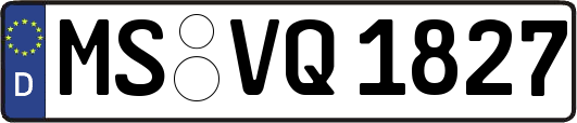 MS-VQ1827