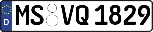 MS-VQ1829