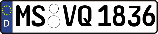MS-VQ1836