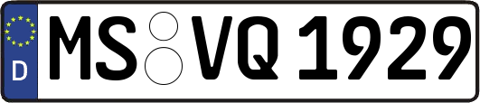MS-VQ1929