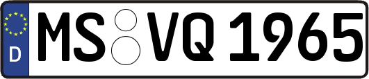 MS-VQ1965