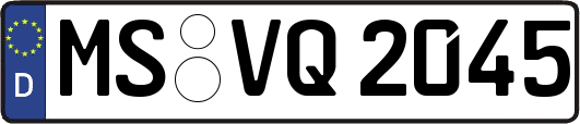 MS-VQ2045