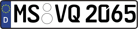 MS-VQ2065
