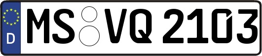 MS-VQ2103