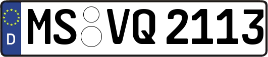MS-VQ2113