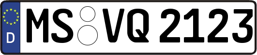 MS-VQ2123