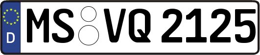 MS-VQ2125