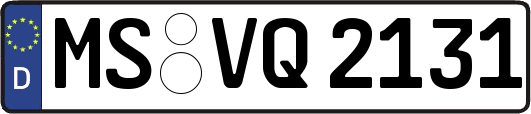 MS-VQ2131