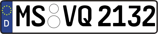MS-VQ2132