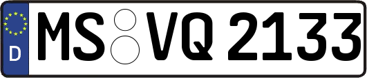 MS-VQ2133