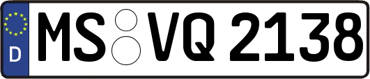MS-VQ2138