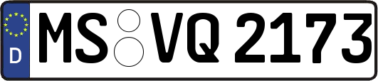 MS-VQ2173