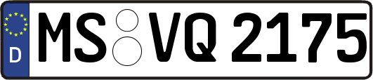 MS-VQ2175