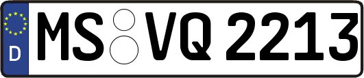 MS-VQ2213