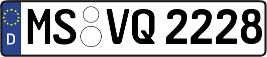 MS-VQ2228