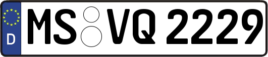 MS-VQ2229