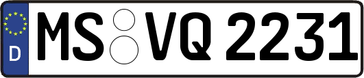 MS-VQ2231