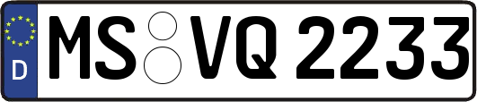 MS-VQ2233