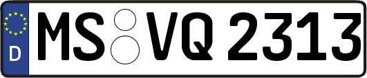 MS-VQ2313
