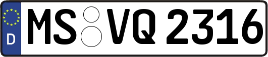 MS-VQ2316