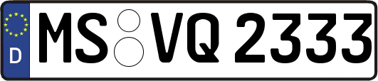 MS-VQ2333