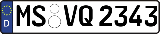 MS-VQ2343