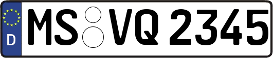 MS-VQ2345