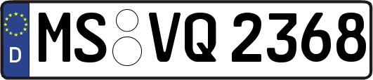 MS-VQ2368