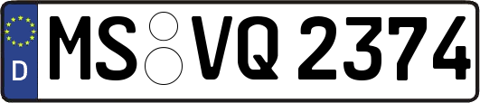 MS-VQ2374
