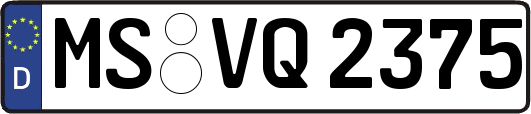MS-VQ2375