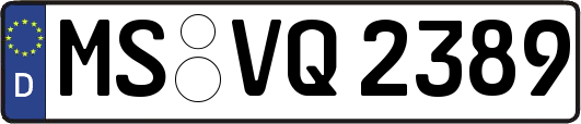MS-VQ2389