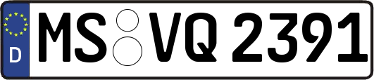 MS-VQ2391