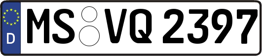 MS-VQ2397