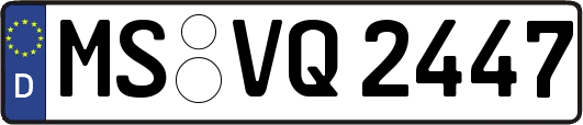 MS-VQ2447
