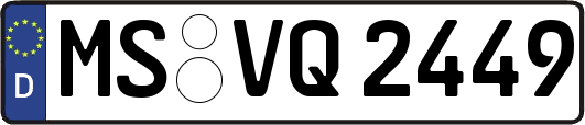 MS-VQ2449