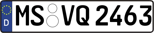 MS-VQ2463