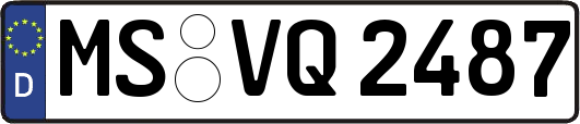 MS-VQ2487
