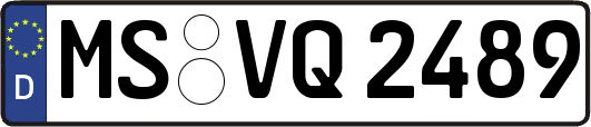 MS-VQ2489