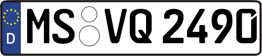 MS-VQ2490