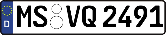 MS-VQ2491