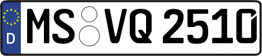 MS-VQ2510