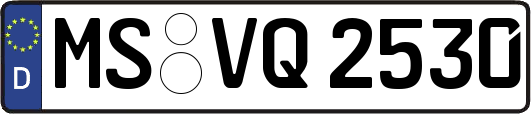 MS-VQ2530
