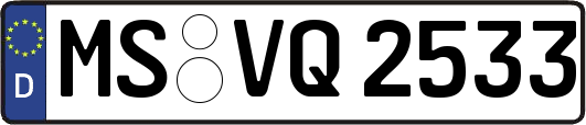MS-VQ2533