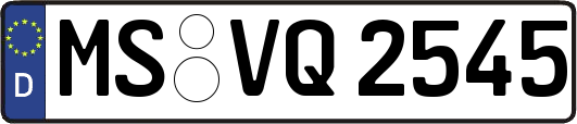 MS-VQ2545