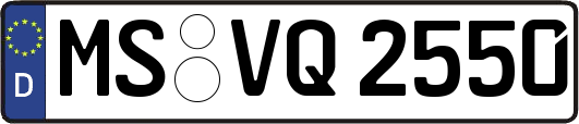 MS-VQ2550