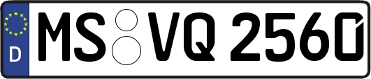 MS-VQ2560