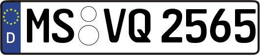 MS-VQ2565