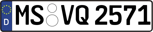 MS-VQ2571