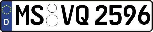 MS-VQ2596