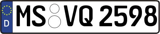 MS-VQ2598